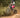 Why Hydraulic Disc Brakes Are a Game-Changer for Electric Dirt Bikes