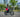 How to Choose the Right Speed and Power Setting for Your Electric Dirt Bike Ride